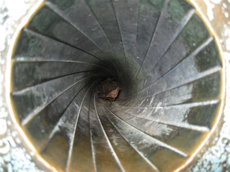 rifling in a barrel